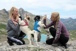 Des blogueur en route pour vous