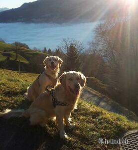 Kaya and Neo as reporters