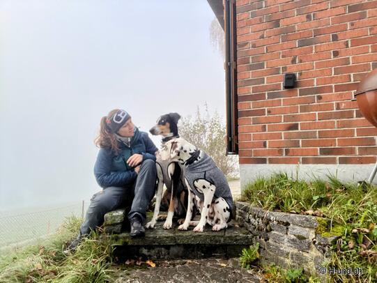 H-und.ch:Vivere la Svizzera con il proprio cane
