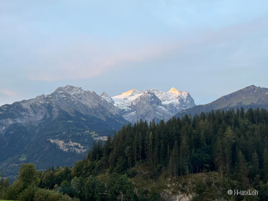 H-und.ch:Vivere la Svizzera con il proprio cane