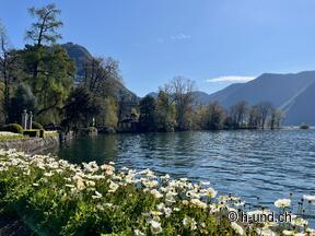 Benvenuti al Villaggio turistico Reka di Lugano Albonago