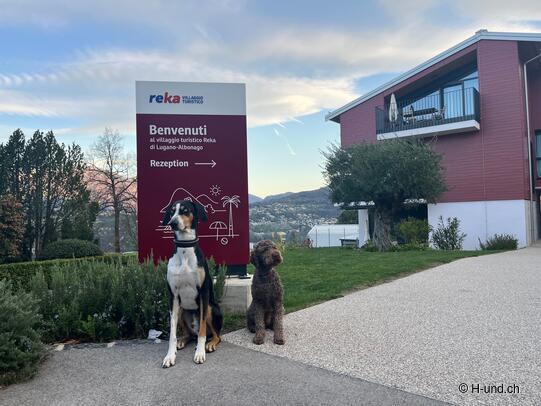 Benvenuti al Villaggio turistico Reka di Lugano Albonago