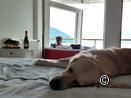 Strandhotel Seeblick Faulensee