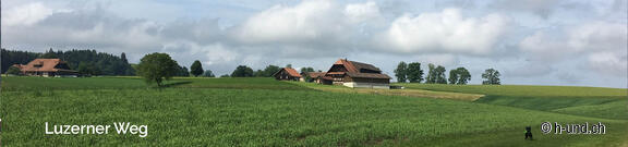 Via Lucerna con il cane