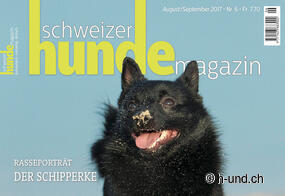Découvrir la Suisse avec son chien