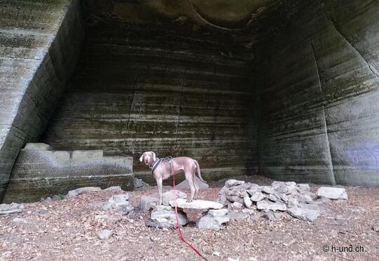 Friedlistall - Staffelbach sandstone quarry